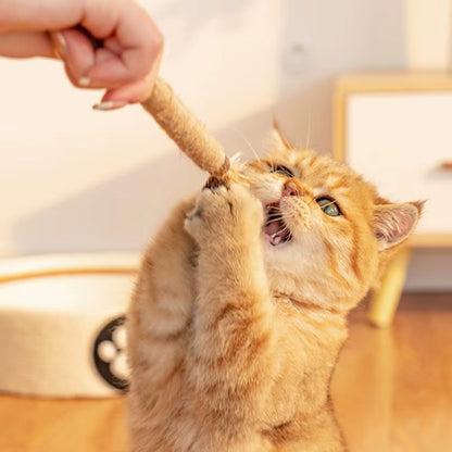 Engaging Natural Wood Polygonum Teasing Cat Toy - Perfect for Chewing and Teeth Cleaning!