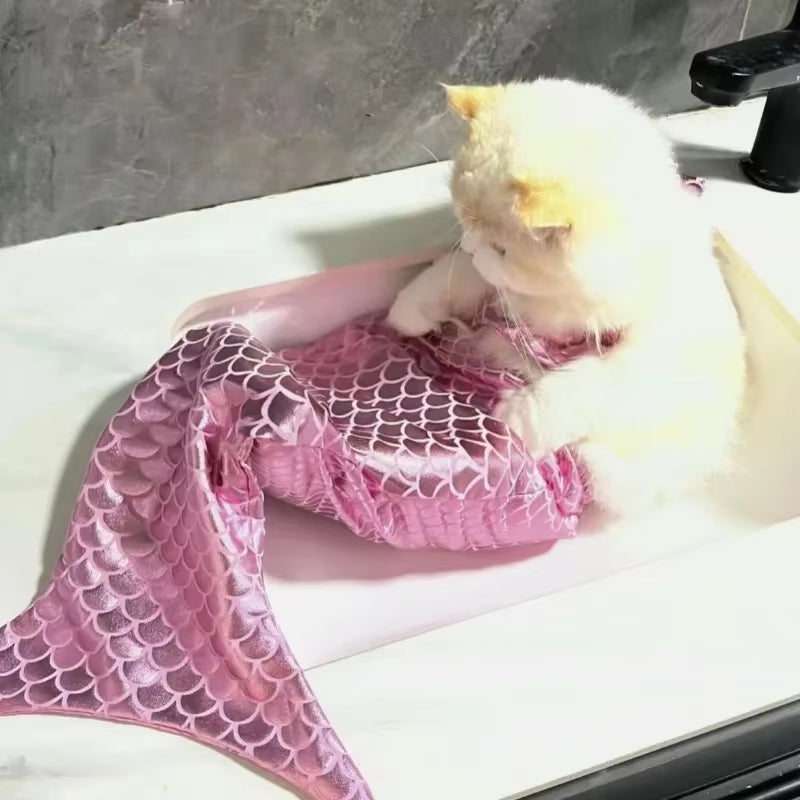 Make a Splash with Our Adorable Cat Mermaid Costume - Perfect for Summer Fun and Halloween!