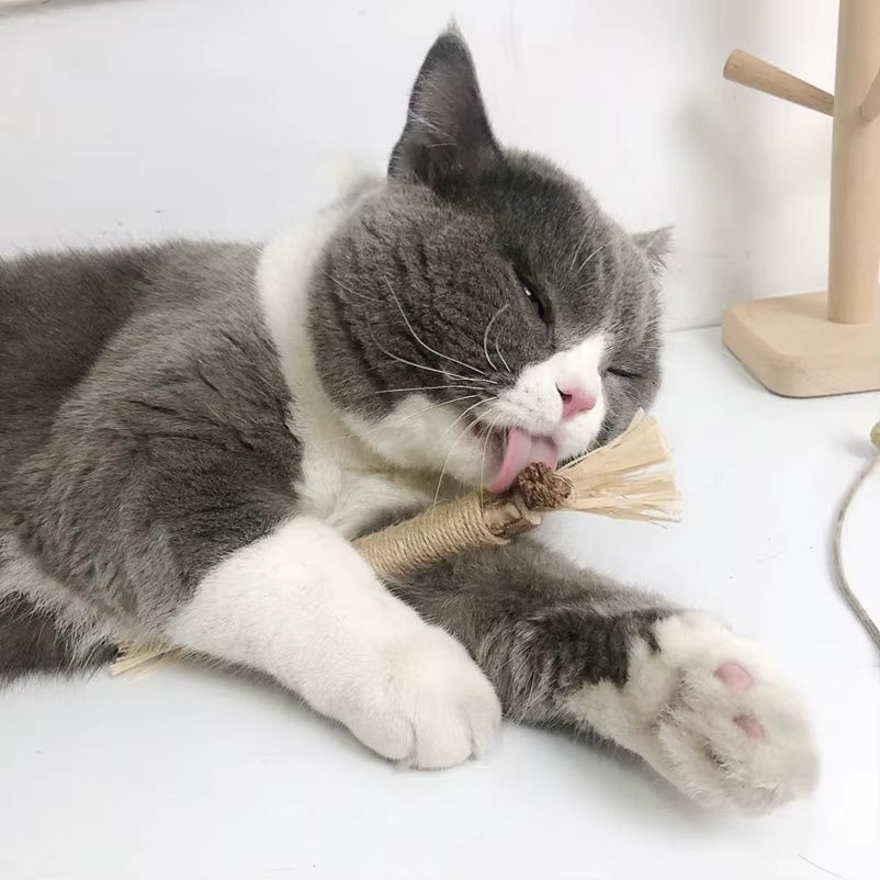 Engaging Natural Wood Polygonum Teasing Cat Toy - Perfect for Chewing and Teeth Cleaning!