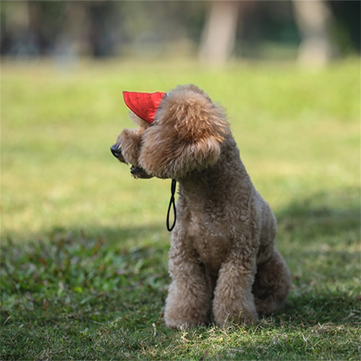 Stylish Adjustable Baseball Hat for Dogs - Perfect Sun Protection with Ear Holes for Outdoor Adventures