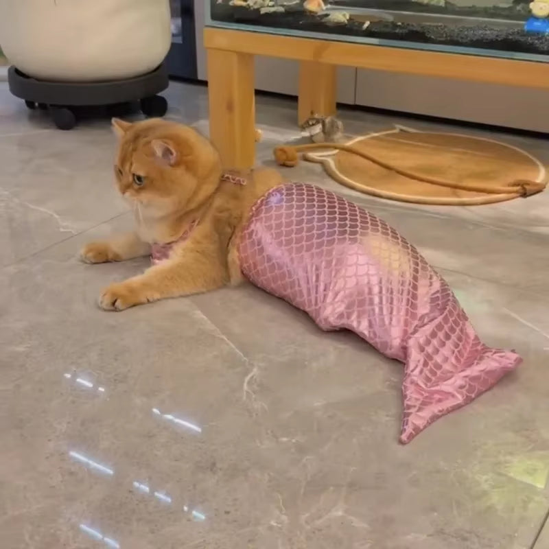 Make a Splash with Our Adorable Cat Mermaid Costume - Perfect for Summer Fun and Halloween!