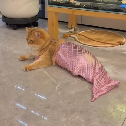 Make a Splash with Our Adorable Cat Mermaid Costume - Perfect for Summer Fun and Halloween!