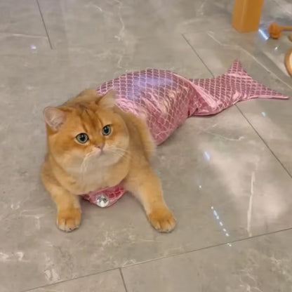 Make a Splash with Our Adorable Cat Mermaid Costume - Perfect for Summer Fun and Halloween!