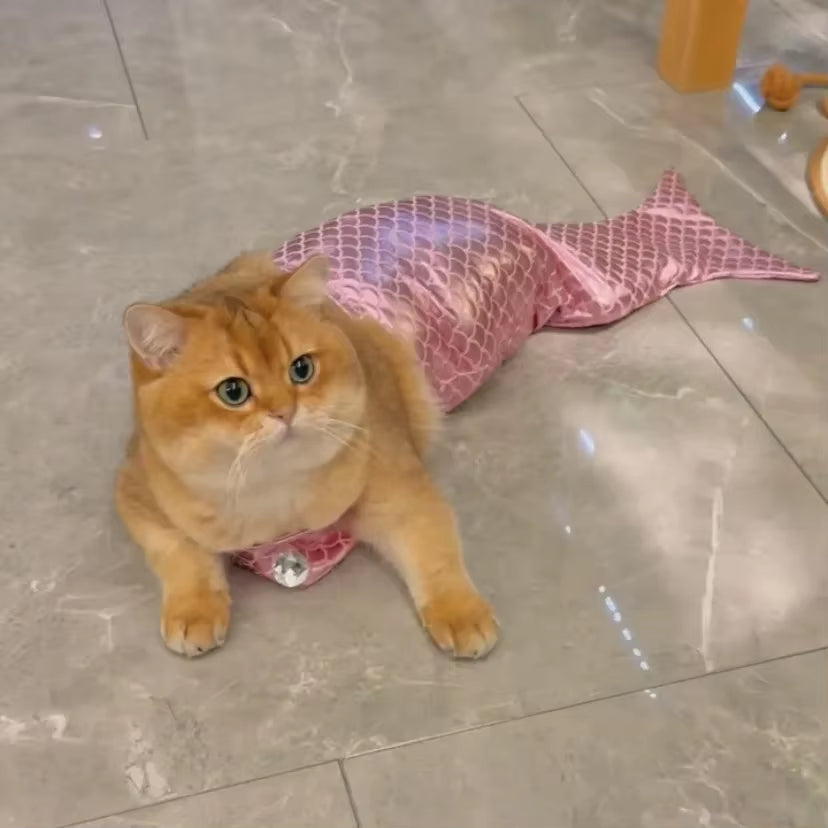 Make a Splash with Our Adorable Cat Mermaid Costume - Perfect for Summer Fun and Halloween!