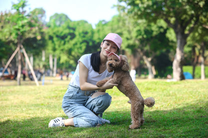 Stylish Adjustable Baseball Hat for Dogs - Perfect Sun Protection with Ear Holes for Outdoor Adventures