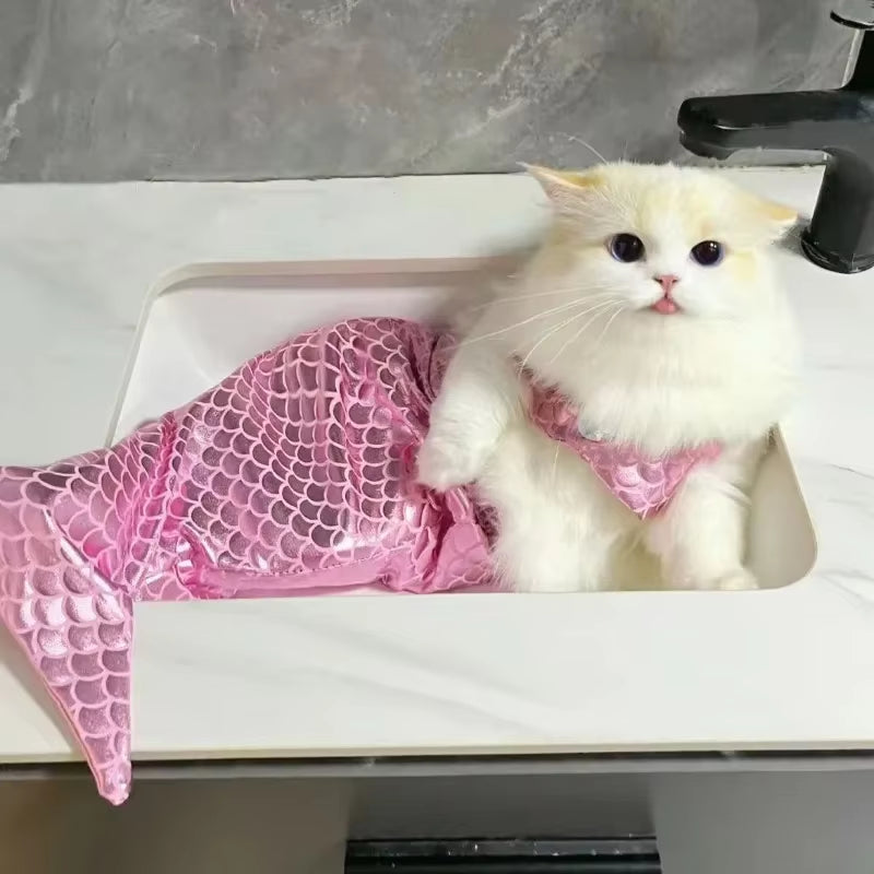 Make a Splash with Our Adorable Cat Mermaid Costume - Perfect for Summer Fun and Halloween!