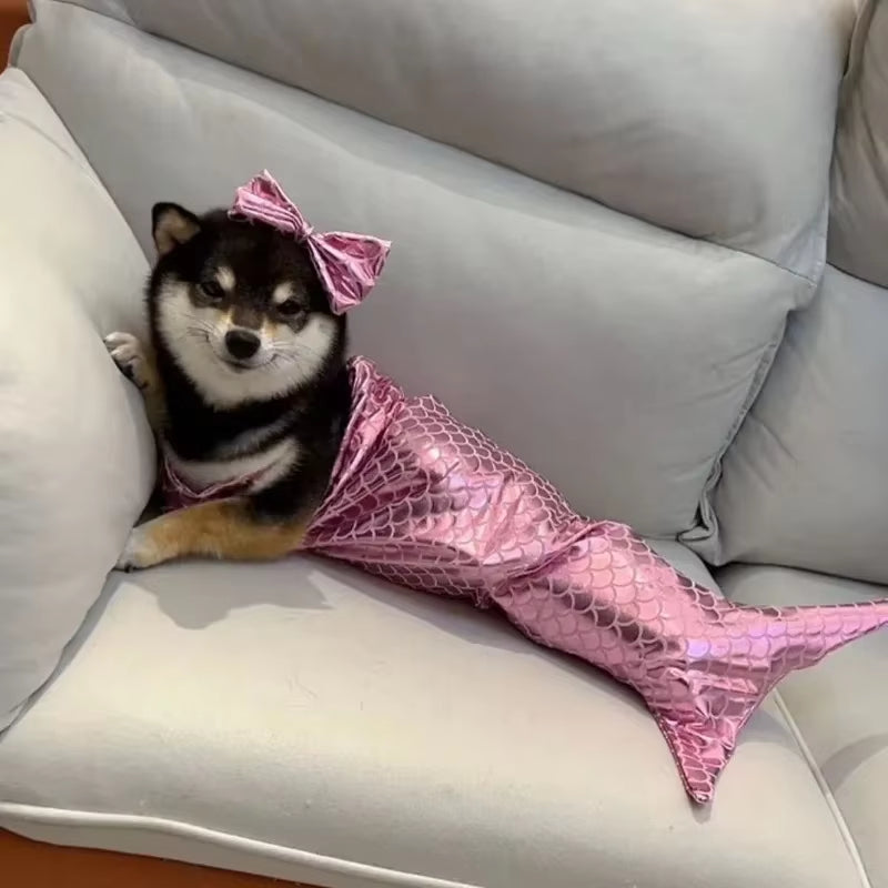 Make a Splash with Our Adorable Cat Mermaid Costume - Perfect for Summer Fun and Halloween!