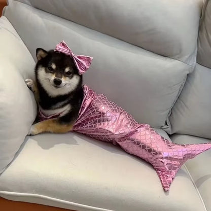 Make a Splash with Our Adorable Cat Mermaid Costume - Perfect for Summer Fun and Halloween!