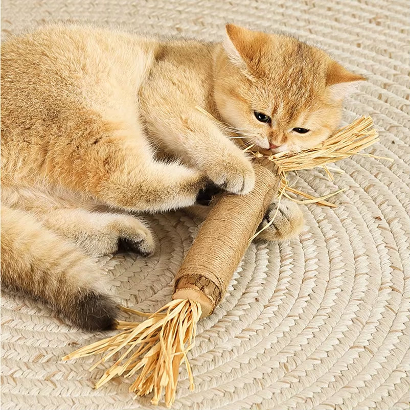 Engaging Natural Wood Polygonum Teasing Cat Toy - Perfect for Chewing and Teeth Cleaning!